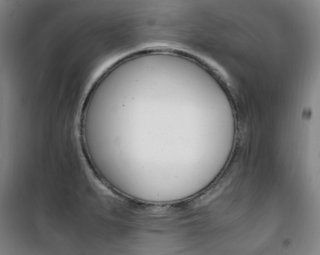 X0000101711279200807101400