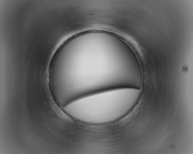 X0000101711280200807101400