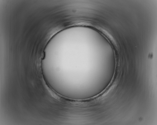 X0000101711281200807101400