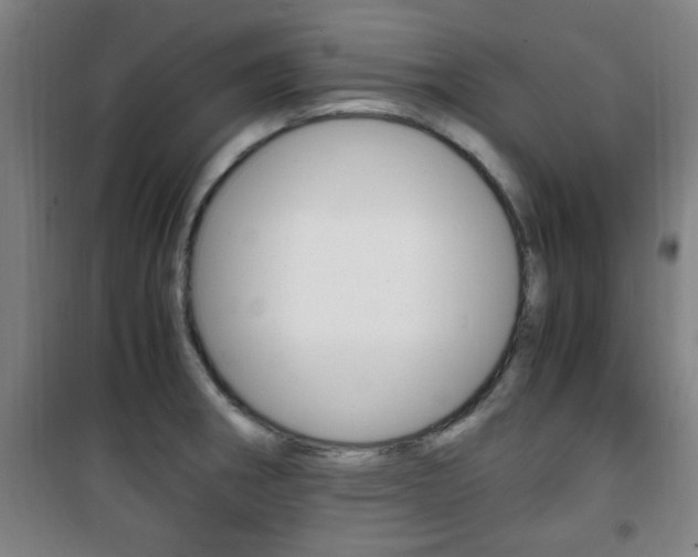 X0000101711282200807101400