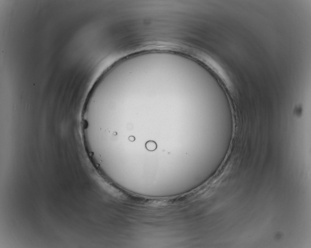 X0000101711283200807101400