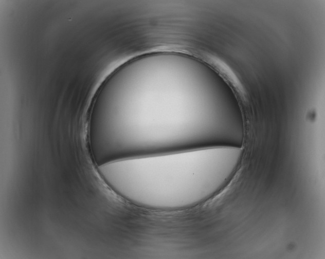 X0000101711284200807101400