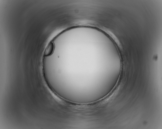 X0000101711285200807101400