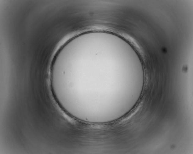 X0000101711286200807101400