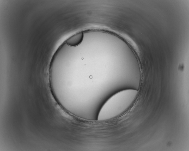 X0000101711287200807101400