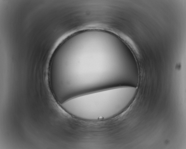 X0000101711288200807101400