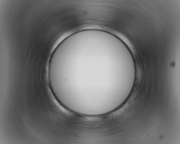 X0000101711290200807101400