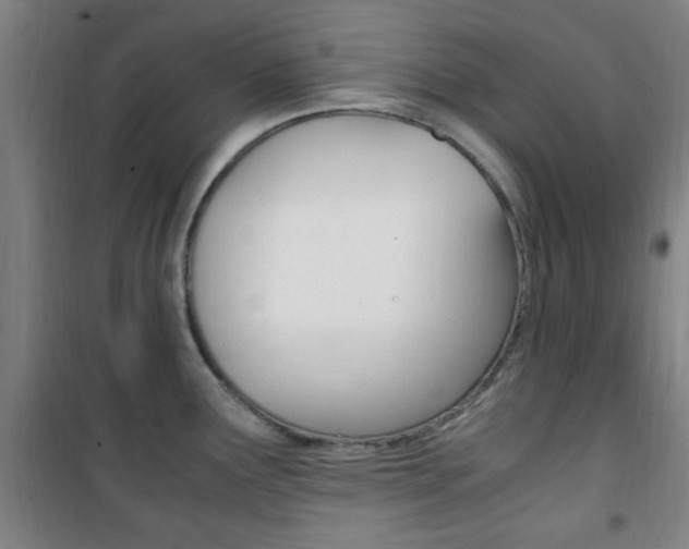 X0000101711291200807101400