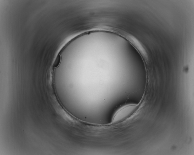 X0000101711292200807101400