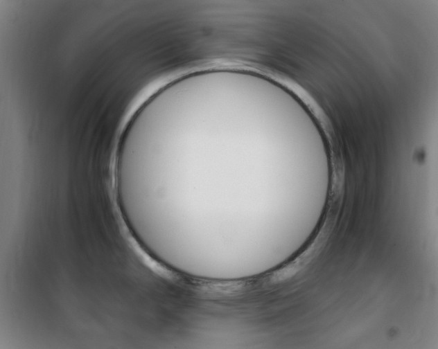X0000101711294200807101400