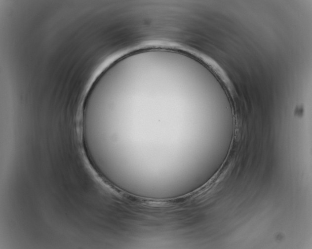X0000101711295200807101400