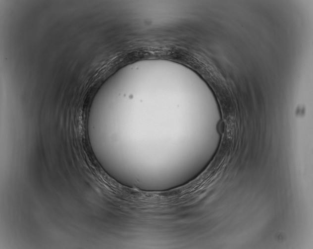 X0000101711298200807101359