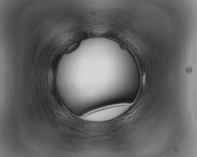 X0000101711299200807101359