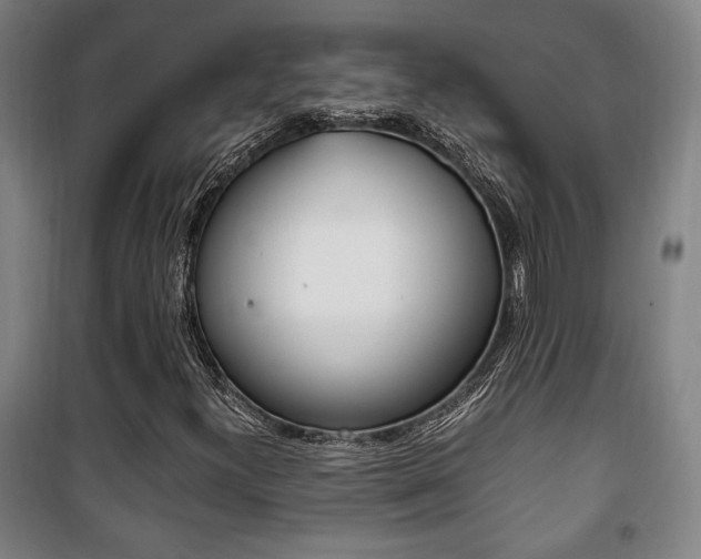 X0000101711300200807101359