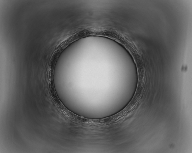 X0000101711301200807101359