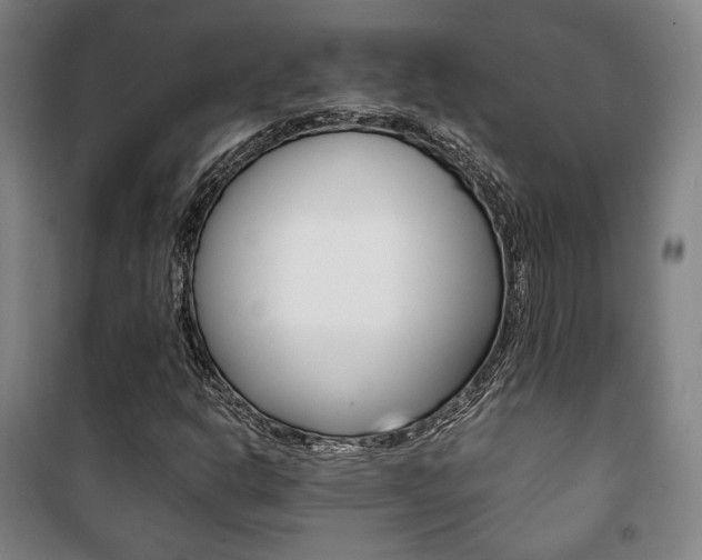 X0000101711302200807101359