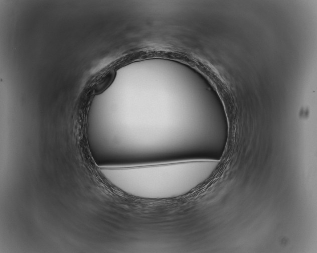 X0000101711303200807101359