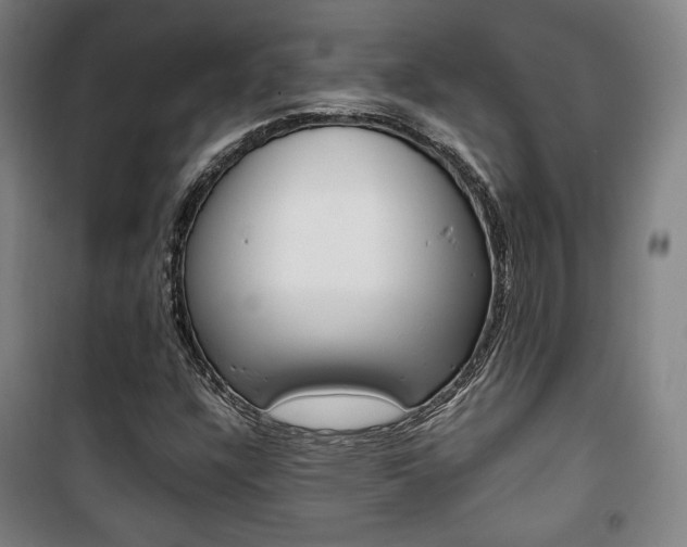 X0000101711304200807101359