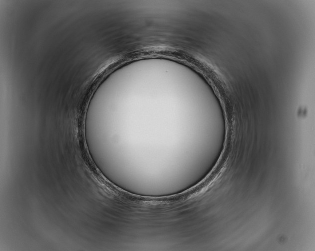 X0000101711305200807101359