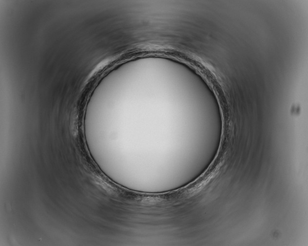 X0000101711306200807101359