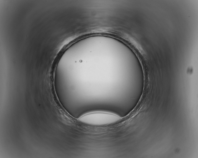 X0000101711308200807101359