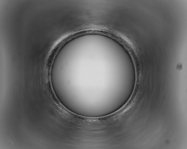 X0000101711310200807101359