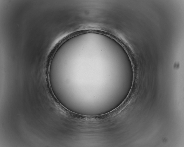 X0000101711312200807101359