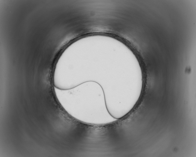 X0000101711314200807101359