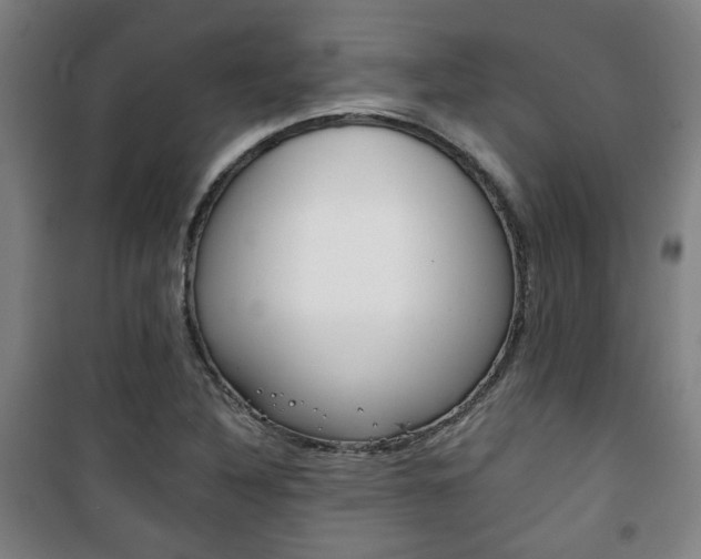 X0000101711316200807101359