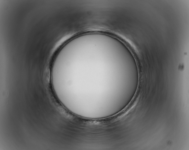 X0000101711317200807101359