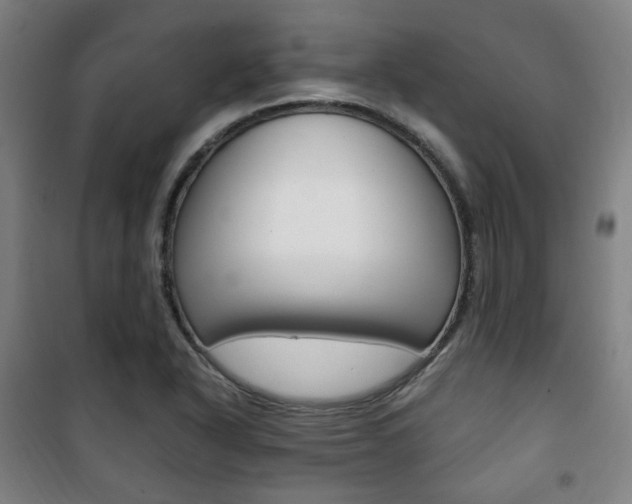 X0000101711318200807101359
