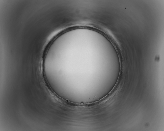 X0000101711320200807101359