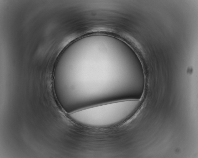 X0000101711321200807101359