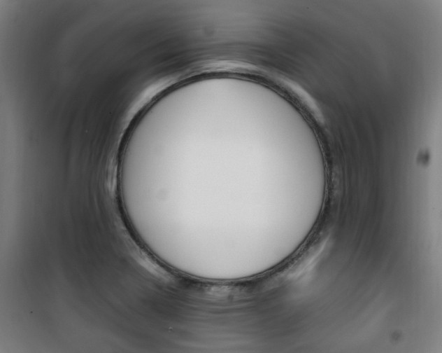 X0000101711322200807101359
