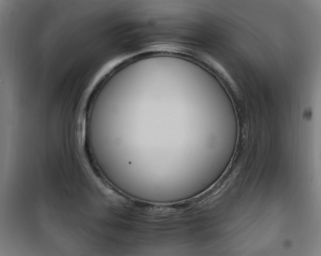 X0000101711323200807101359