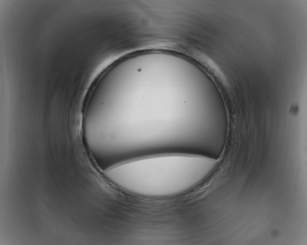 X0000101711324200807101400