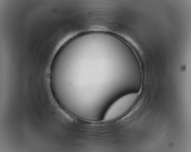 X0000101711325200807101400