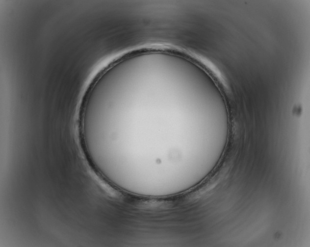 X0000101711327200807101400