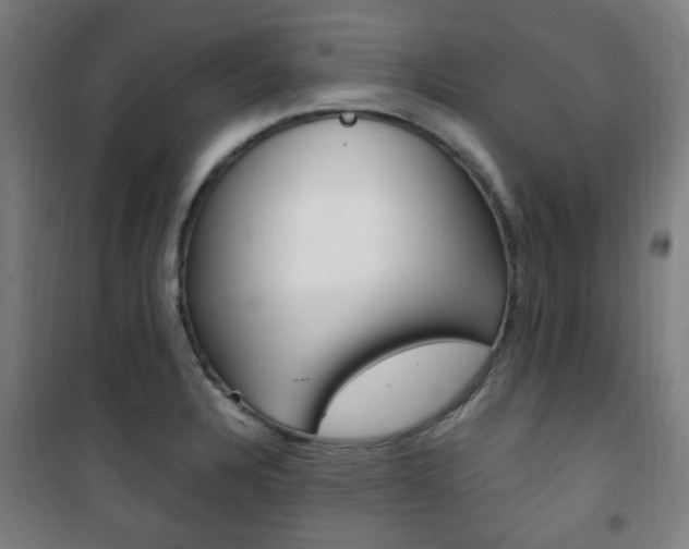 X0000101711328200807101400