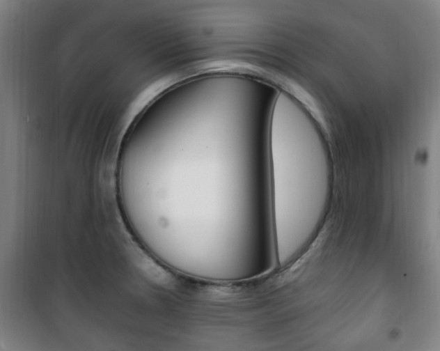 X0000101711330200807101400