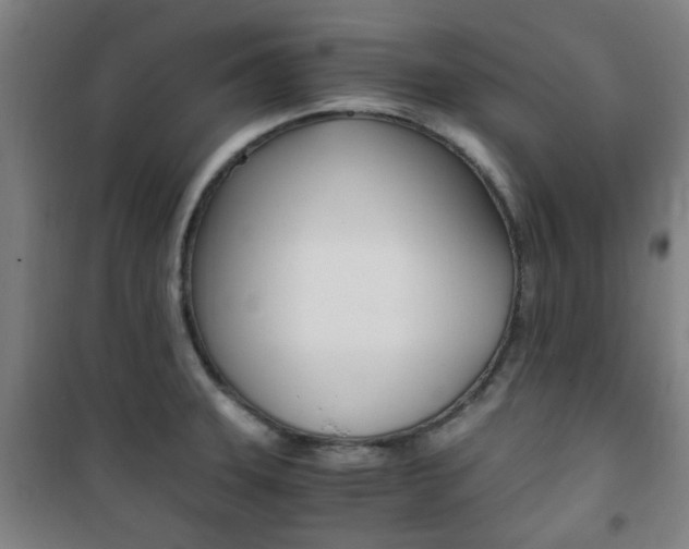 X0000101711331200807101400