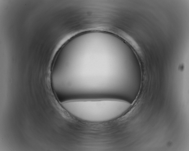 X0000101711332200807101400