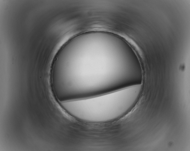 X0000101711333200807101400