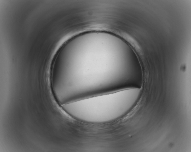 X0000101711334200807101400