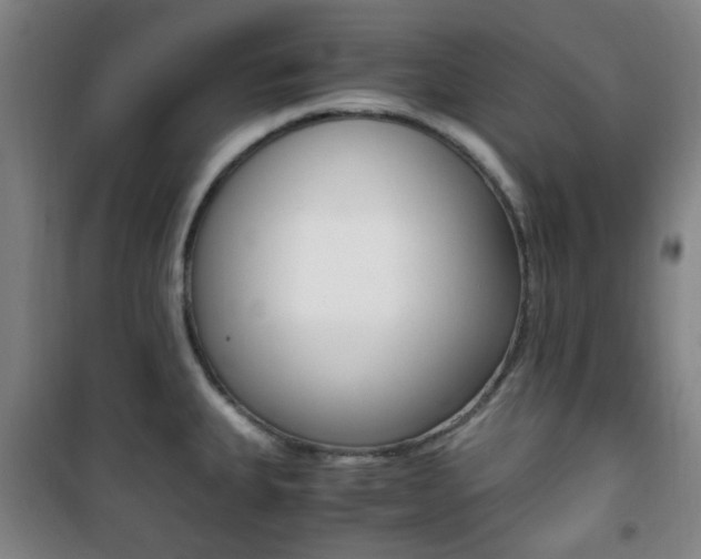 X0000101711335200807101400