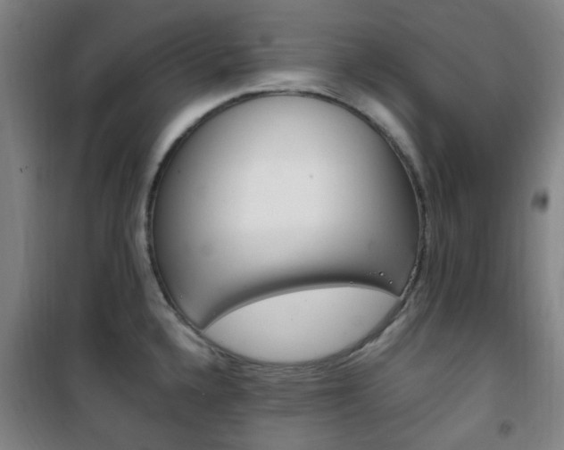 X0000101711336200807101400