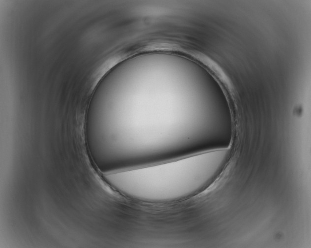 X0000101711337200807101400