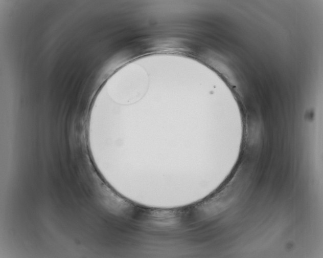 X0000101711338200807101400