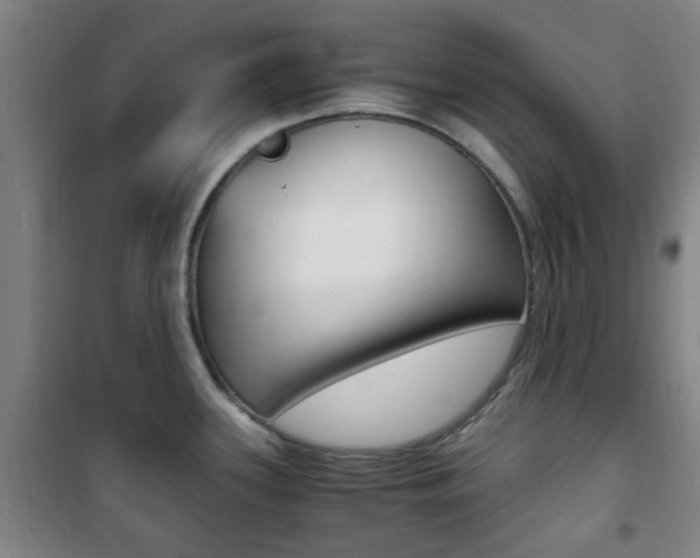 X0000101711339200807101400