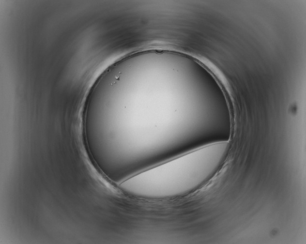 X0000101711341200807101400